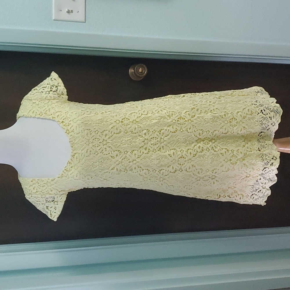 Francesca's Lace Dress